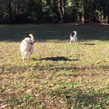 Dog Run at Jaycee Park photo 1